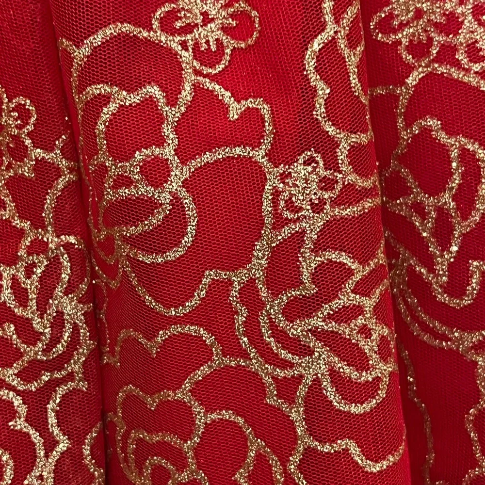 Blueberi Boulevard White and Red Floral Tulle Dress - Picture 6 of 7